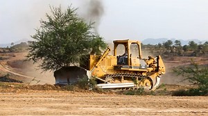 Machinery, Leveling, Tree. Free Stock Video
