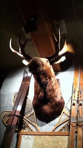 Inside bugaboo creek steakhouse