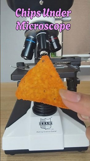 Chips under the microscope #microscope #science #experiment #micro #laboratory #chips