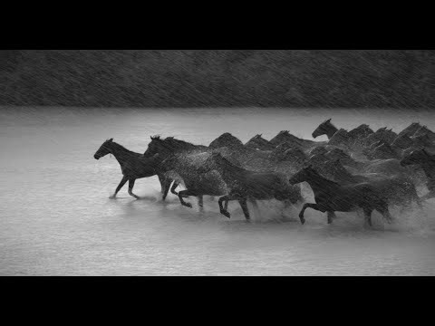 2 Hours of Rain Storm Sounds