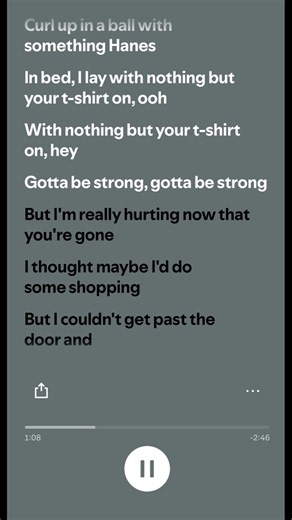 Shontelle - T-Shirt Lyrics | Music & Chill