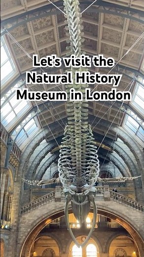 London’s Iconic Natural History Museum #london #museum #natural