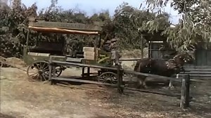 66K views · 2.3K reactions | Film de Vaqueros en español, Acción y Aventura en Alta Resolución Oeste, emocionante y fascinante | Peliculas del oeste | Facebook