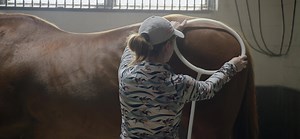 193K views · 858 reactions | Using MagnaWave can help accelerate healing from injury & illness while reducing inflammation and pain. Veterinarians, trainers, and horse owners use MagnaWave and are happy with the results! | MagnaWave Corporate - Wellness and Pain Relief | Facebook