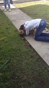 76K views · 475 reactions | Dogs Seeing Their Owners For The First Time After A Long Time <3 | The Amazing Facts | Facebook