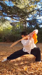 4.5K views · 260 reactions | Master Song Tiger Sword | Master Song Kung Fu | Facebook