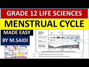 MENSTRUAL CYCLE: HUMAN REPRODUCTION :GRADE 12 LIFE SCIENCES, 2025 [THUNDEREDUC] BY M.SAIDI