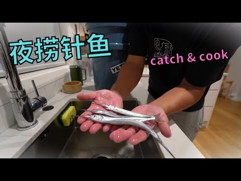 新西兰夜捞针鱼，我是怎样获得以及烹饪新西兰的免费海鲜！！！catch &cook piper fish NZ