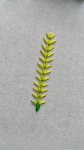 Beautiful Wheatear stitch tutorial for the beginners || Simple borderline embroidery design #stitch #wheatearstitch | Tahmina's Embroidery World