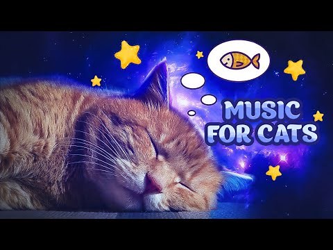 Relaxing MUSIC FOR CATS ♫ cat lullaby SONG TO SLEEP