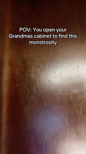 5.2K views · 164 reactions | who’s gifting these mugs to my grandma and where are they from (asking for a friend) 﫣﫣 #lookhuman #funnygifts #humor #mugs #coffeemug #gifts #wearyourweird | LookHUMAN | Facebook