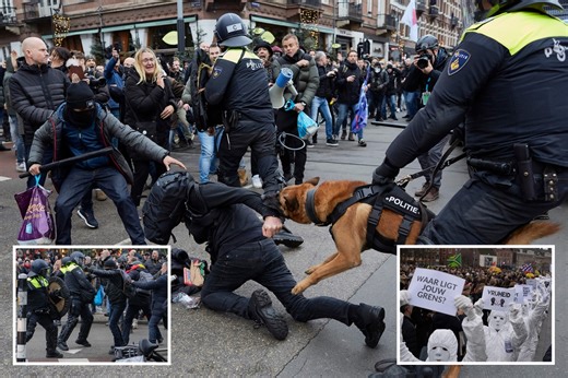 Riot cops clash with protesters as police dogs attack at anti-lockdown march