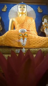 බුද්ධගයා පින්බිමේ බුද්ධගයා මහා විහාරය 🙏🙏🙏 | Sri Lanka Buddhist