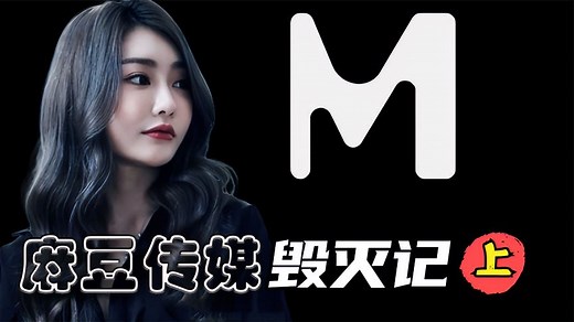 “麻豆传媒”连窝端，一年获利500万，辉煌之后的毁灭令人叹息！