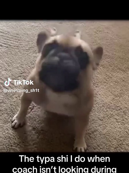 Push-Up Fails: When Coach Isn't Watching