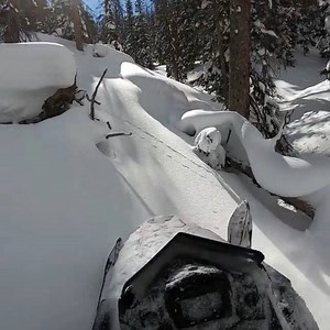 24K views · 238 reactions | Heaven is a sun-lit drainage with fresh snow in front of and friends behind you. ___ Follow SnoWest Magazine @threehourtours ___ @threehourtours Fun times in drainages today with @smasher14 and @berry_brock801. #klim #vohktuned #vohk #boondockers #snowest #snowestmagazine #snowmobile #snowmobiling #polaris #prormk #axysrmk #sledding #backcountry | SnoWest Magazine | Facebook