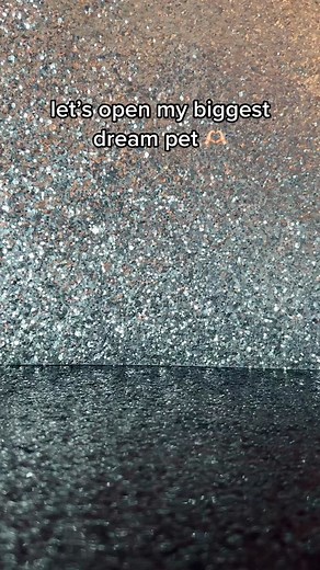 Unboxing My Biggest Dream Pet from Jenna! | Littlest Pet Shop Collector