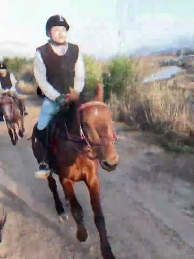 Little Guy's First Horseback Ride: Heartwarming Debut