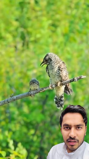 Parents 🙉 #reelsviralシfbvb #reelsfbシbvb #reelsfacebookv #reelsfbシbb #reaction #funny | Hammas Shan