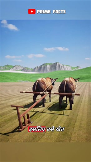 How Smart Humans Improved the Plough