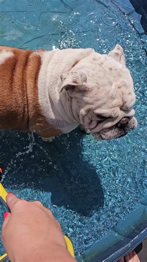 dangerous_beauty_style на TikTok