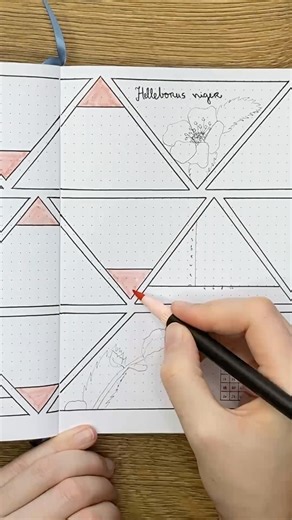 From Blank Page to Weekly Spread ✨ Bullet Journal #bujowithiveinspo