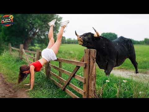 Try Not To Laugh 🤣 Top 100 Funniest Videos Ever 😂 | Funny Videos Compilation 2026 #86