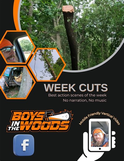 My favorite scenes from this week. Please enjoy this full length mobile friendly vertical video of just the sights and sounds | Boys In The Woods