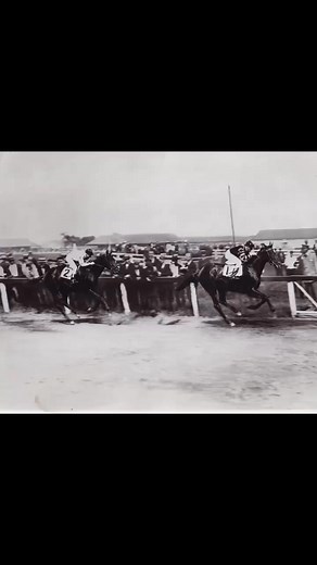 4.2K views · 64 reactions | Foaled on March 29, 1917, Man O' War...
