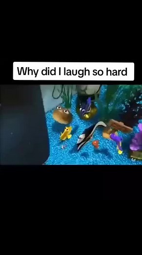 Finding Nemo Memes and Funny Moments