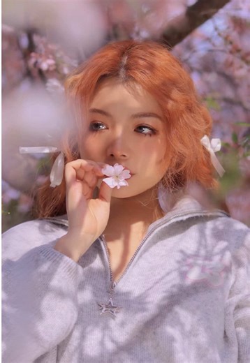 Get Closer to Cherry Blossoms with a Folding Stool