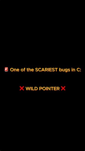 One of the SCARIEST bugs in C: Wild Pointer
