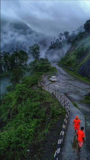 Top 5 Beautiful Living Root Bridges in Meghalaya | Shillong Tourist Places | Meghalaya Travel Guide