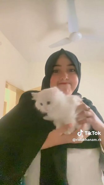 Understanding Obsession and Its Impact