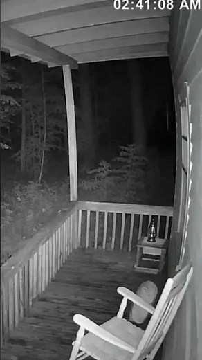 You'd Never Believe This Without the Footage. #CreepyMoments #RealHorror #ScaryReels #FYP #USAHorror