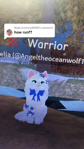 Tutorial: Warrior Cats Gameplay Tips and Tricks