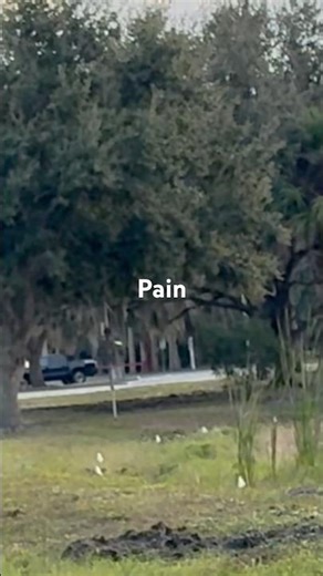 Pain. Innova Invader. #discgolf #ace