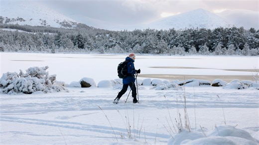 Fairy tale castles & reindeer visits: Eight stunning winter walks in Scotland