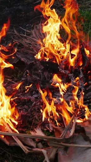 Lumix G85 pics #nature #lgv60photography #lumixg85