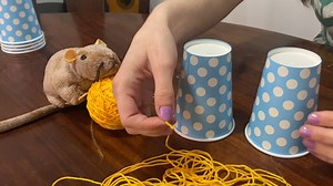 Science Flair! Episode 30: Make A Telephone