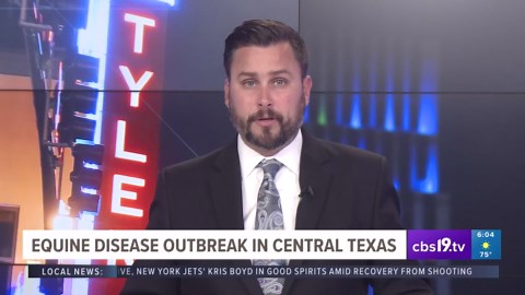 Texas Rose Horse Park in Tyler halts events due to equine virus outbreak out of Central Texas