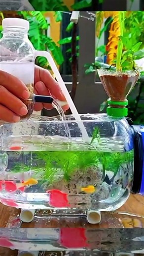 DIY Mini Fish Tank Setup 🐠🌿 | Creative Aquarium Filter & Colorful Goldfish