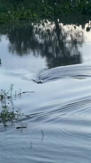 41K views · 321 reactions | Shopee: https://s.shopee.ph/7KoIUOG0cD Lazada: https://c.lazada.com.ph/t/c.cPLGLj?sub_aff_id=quietnightphRCRacingBoat | Deserve Ko | Facebook