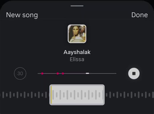 Top Arabic Singers: Elissa, Amr Diab, Assala & Tamer Hosny