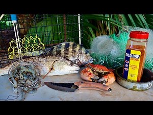 2 Days Shrimping, Crabbing, Fishing on the Coast!