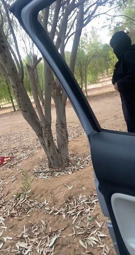 Female Tree Climber in a Rustic Natural Setting