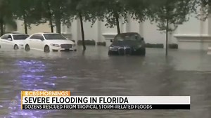 2K views · 43 reactions | Tropical Storm Alex is moving away from the East Coast, after bringing more than 11 inches of rain to Miami in under 24 hours. The Weather Channel’s Stephanie Abrams breaks down why this could be the start of an "above average" hurricane season. | CBS Mornings | Facebook