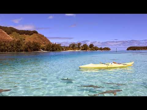 OFFICIAL MHD TV Live Stream