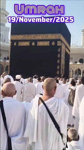 Umrah News Update | 19/11/2025 | #umrah2025 #shorts #viral
