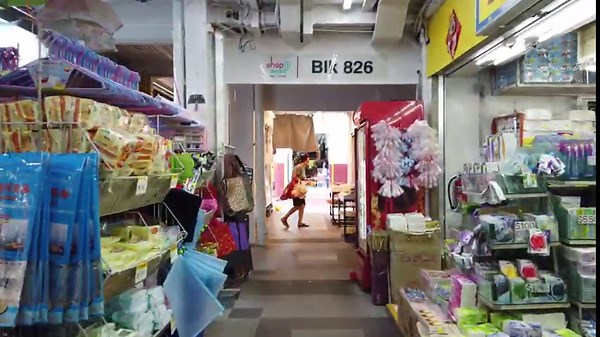 Tampines West Singapore Walking Tour